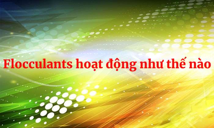 Flocculant hoạt động như thế nào? (Nguyên tắc hoạt động của Flocculant)