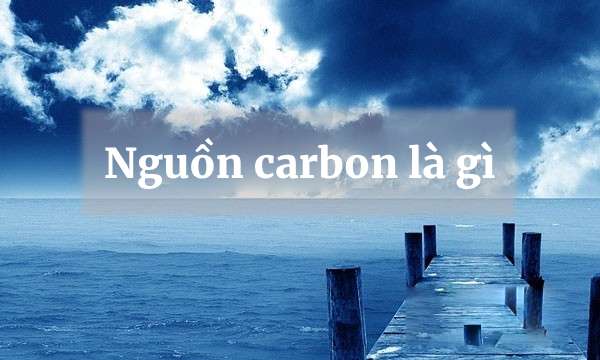 Nguồn carbon là gì?