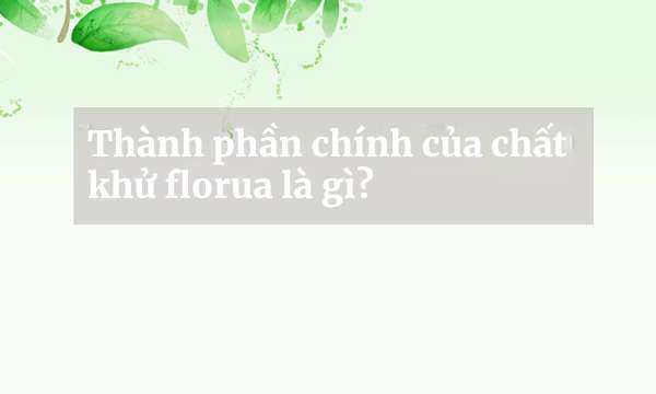 Thành phần chính của chất khử florua là gì?