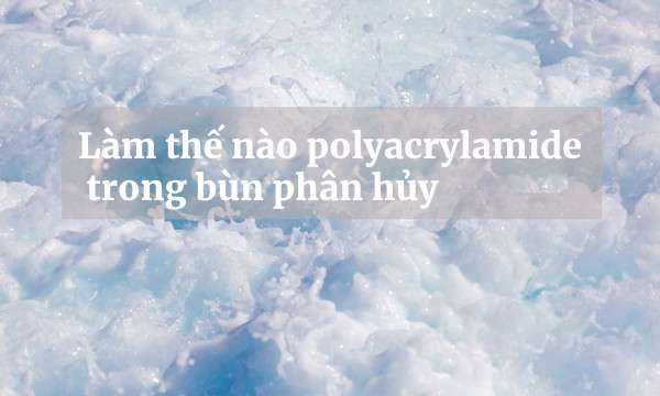 Làm thế nào polyacrylamide trong bùn phân hủy
