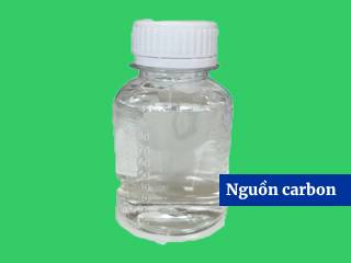 Nguồn carbon